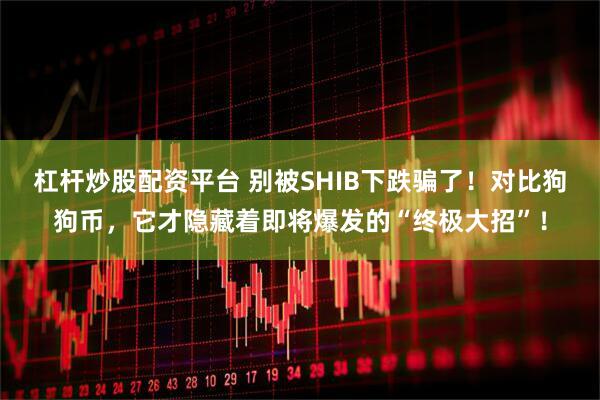 杠杆炒股配资平台 别被SHIB下跌骗了！对比狗狗币，它才隐藏着即将爆发的“终极大招”！