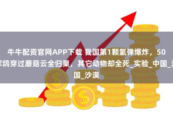 牛牛配资官网APP下载 我国第1颗氢弹爆炸，50只军鸽穿过蘑菇云全归巢，其它动物却全死_实验_中国_沙漠