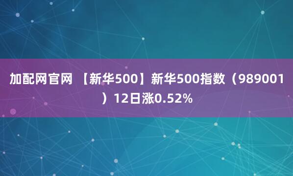 加配网官网 【新华500】新华500指数（989001）12日涨0.52%