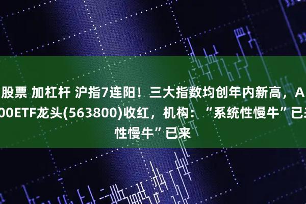 股票 加杠杆 沪指7连阳！三大指数均创年内新高，A500ETF龙头(563800)收红，机构：“系统性慢牛”已来